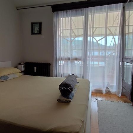 Vila Zora Apartman Banja Koviljača Exteriör bild