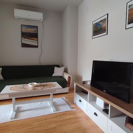 Vila Zora Apartman Banja Koviljača Exteriör bild