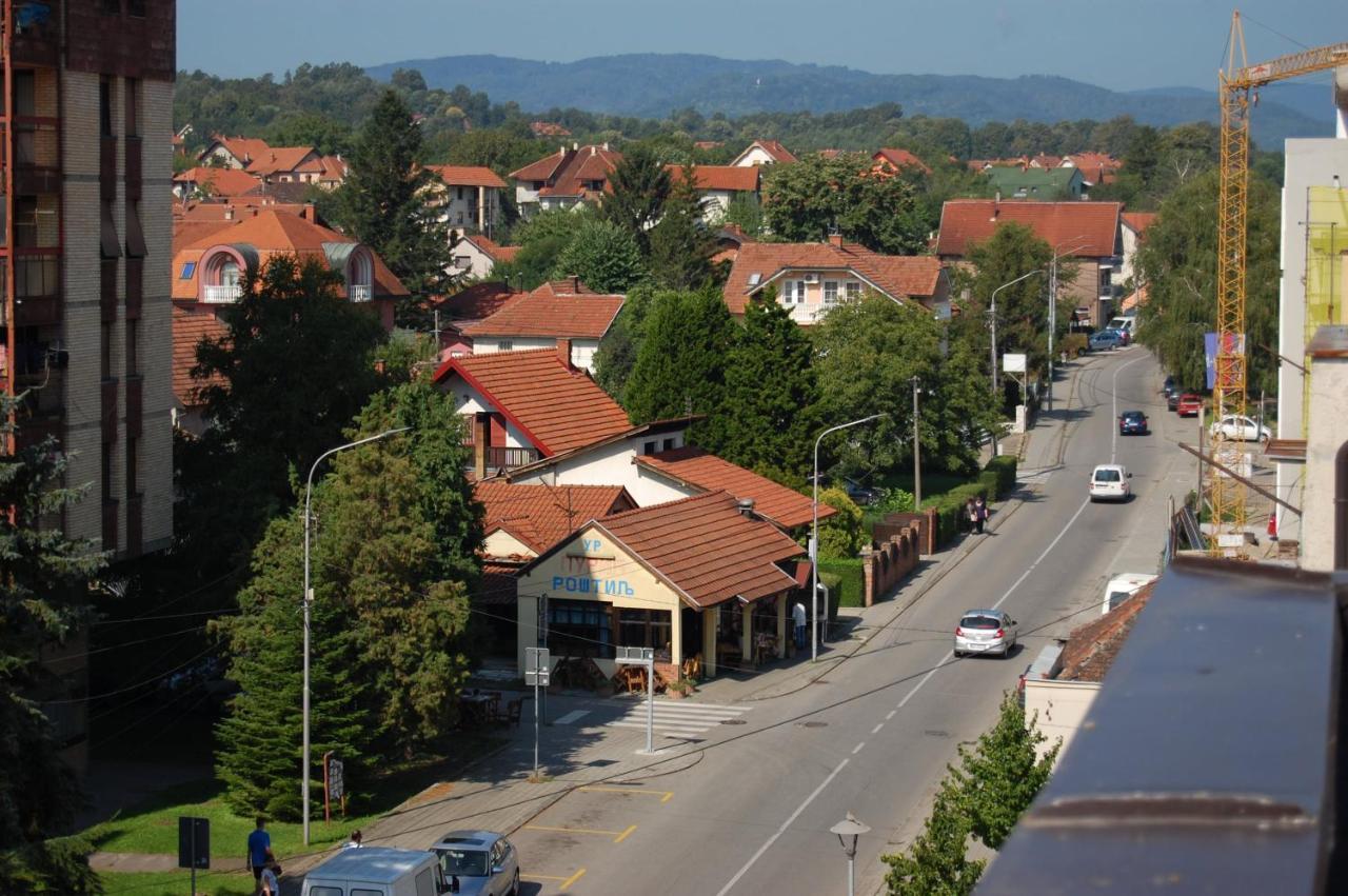 Vila Zora Apartman Banja Koviljača Exteriör bild