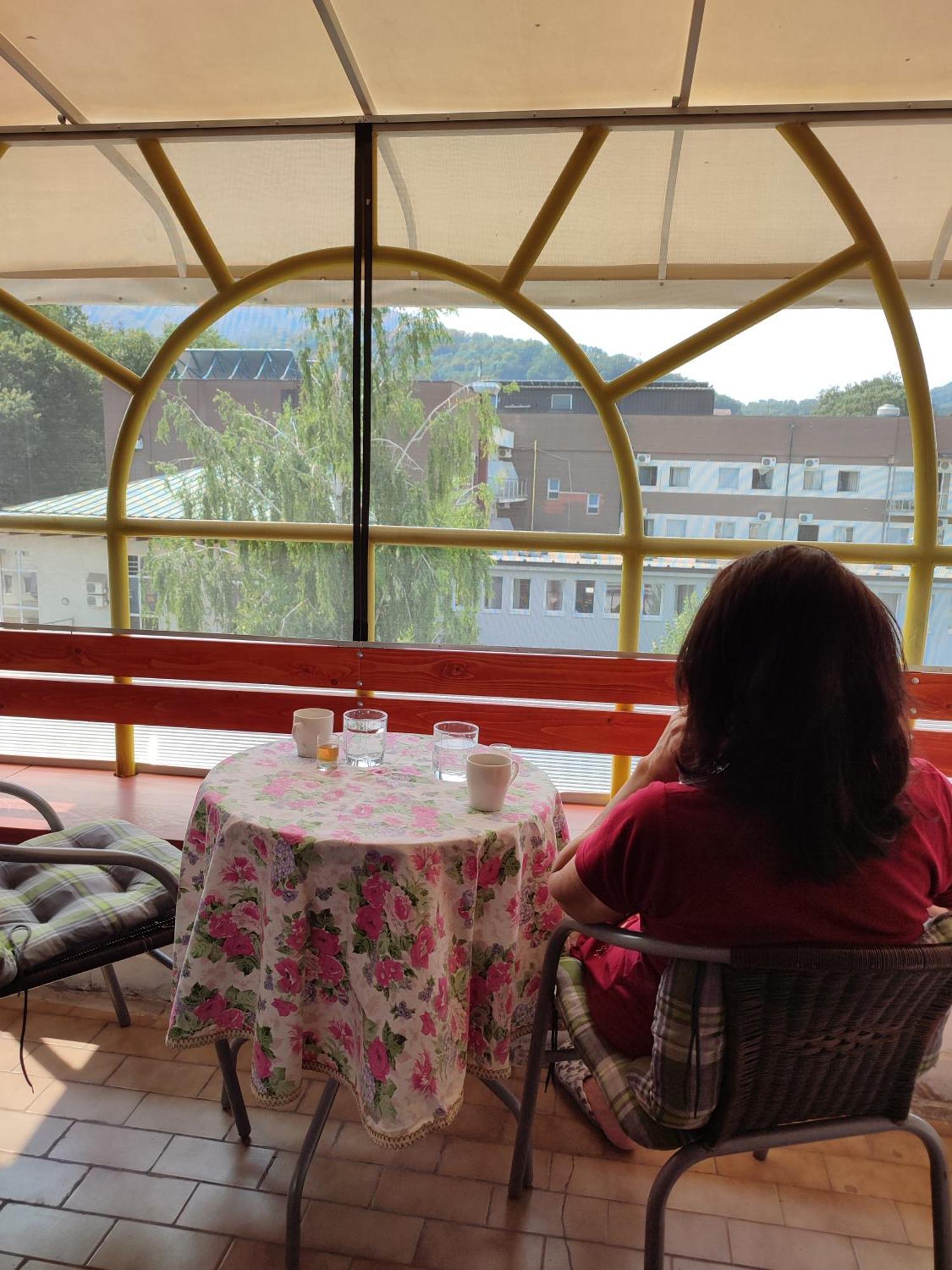 Vila Zora Apartman Banja Koviljača Exteriör bild